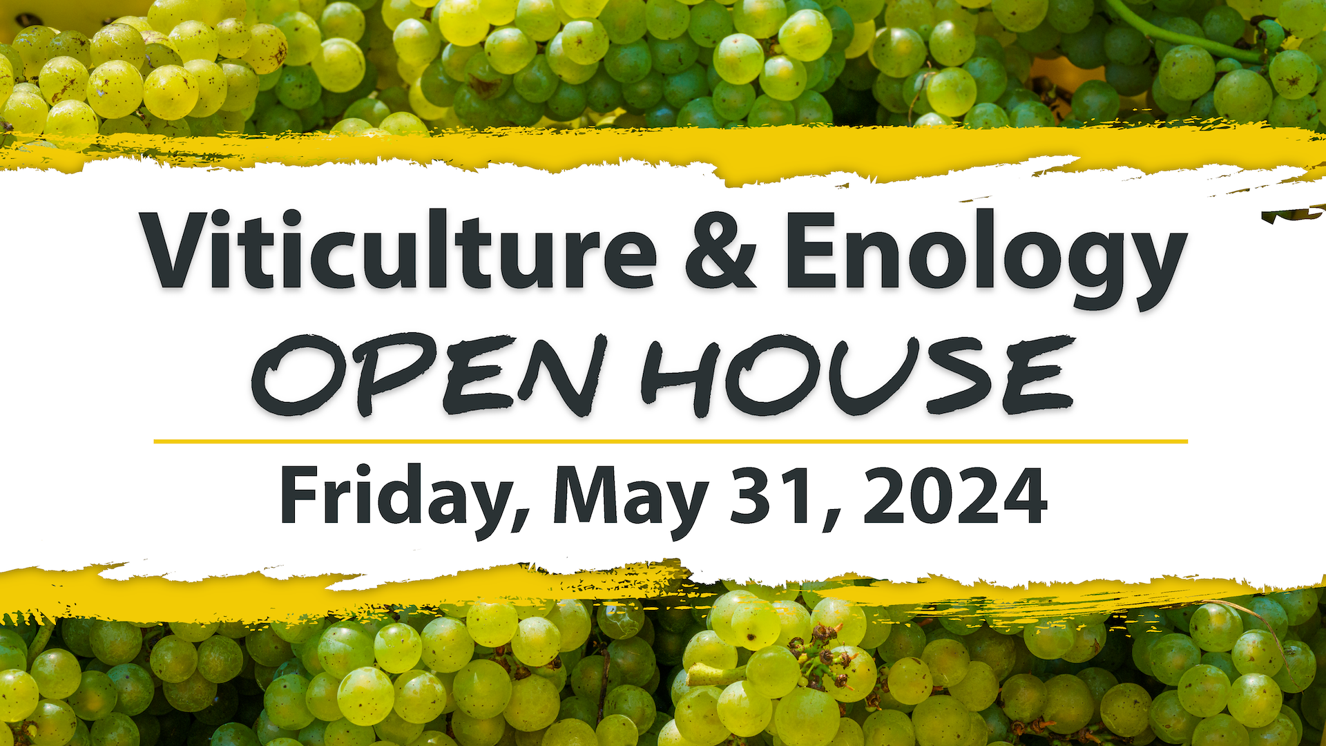 Viticulture & Enology Open House 2024